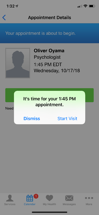 BayCareAnywhere screen for starting your visit