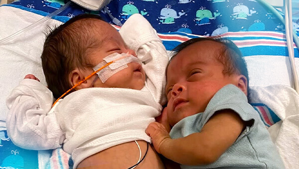infant twins sleeping in an incubator