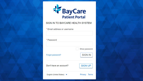 log in screen view