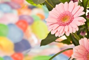 Gift shop flowers