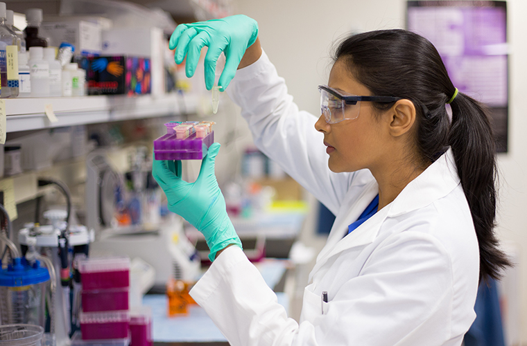 A laboratory team member conducts a test.