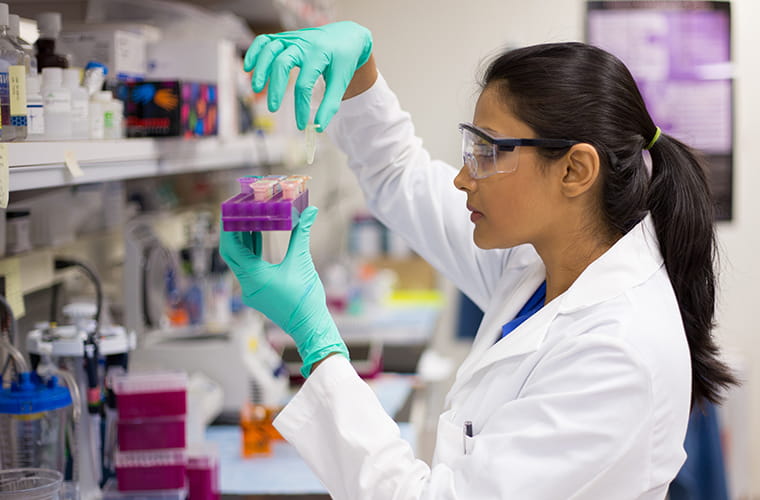 A laboratory team member conducts a test.