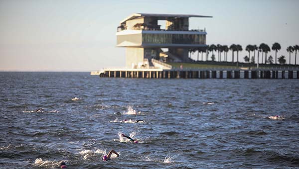 swimmers in bay in front of the St. Petersburg pier