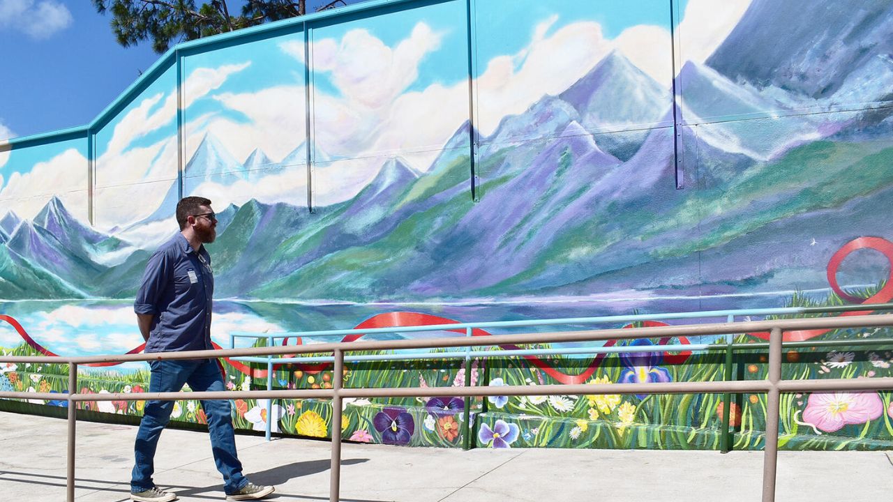 Watch as Winter Haven Hospital and Polk State College art students unveil a mural designed to bring comfort and tranquility to patients facing mental health challenges.