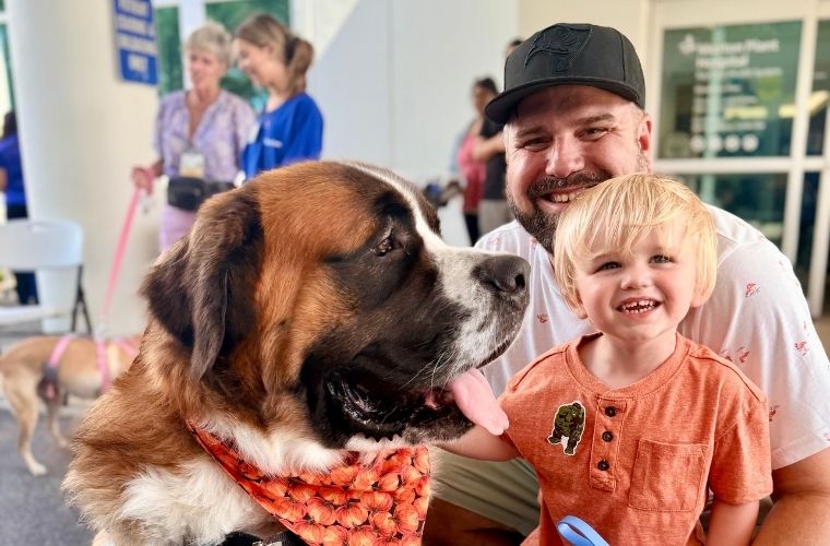 A smiling man and young boy pet a large Saint Bernard therapy dog wearing an orange bandana with pumpkins at the BayCare Kids Family Expo.