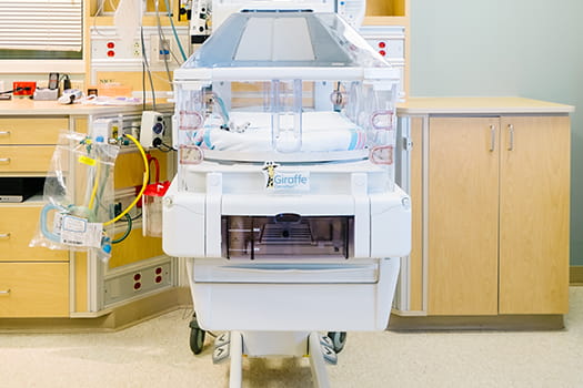 mease countryside ob nicu giraffe 2