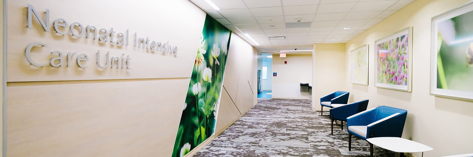 sjhs maternity nicu sjhs maternity nicu