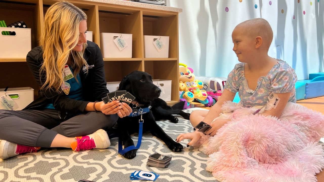 St. Joseph’s Children’s Hospital Welcomes New Furry Miracle Worker